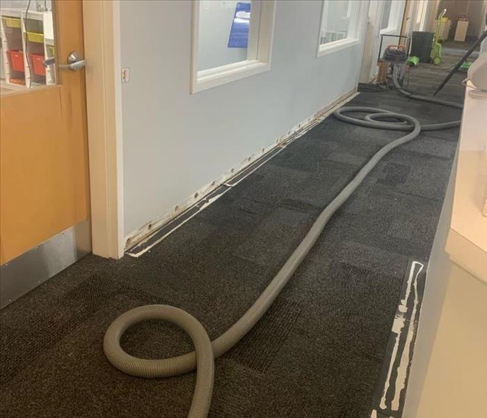 Water extraction equipment in a carpeted hallway with baseboards removed 