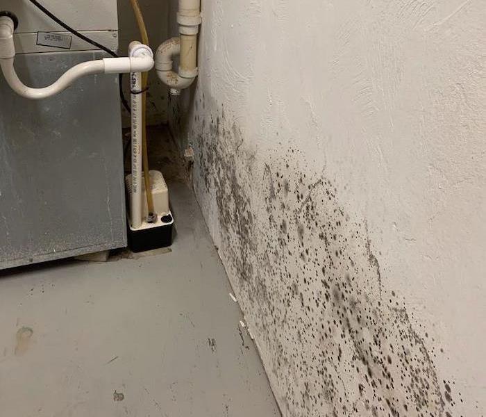 Mechanical room with mold damage