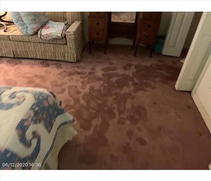 Living room with wet carpet and sofa 