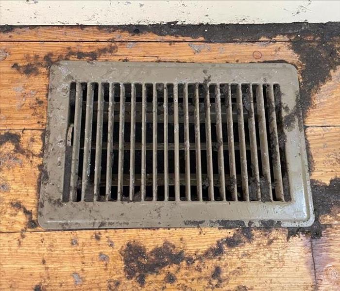 Contaminated drain grate with soiled wood floor and baseboard