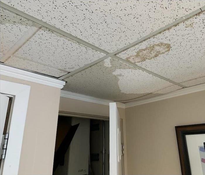 Water damage ceiling tiles, from broken pipe.