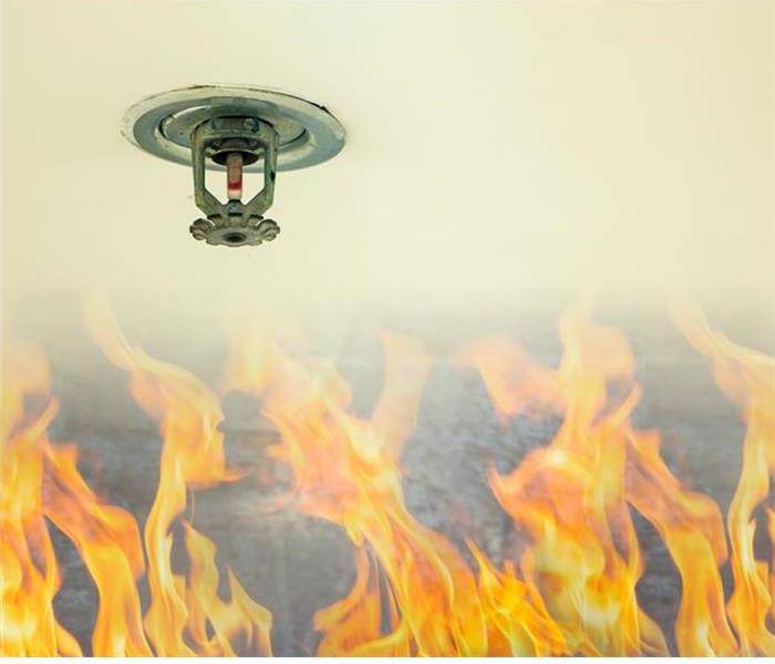 Flames Under Ceiling Water Extinguisher